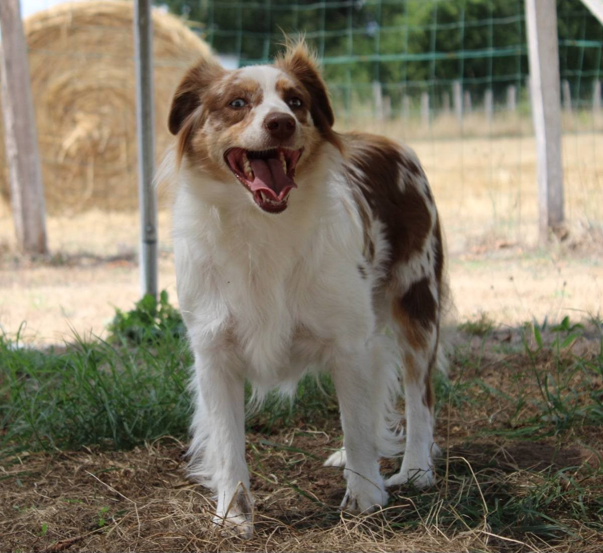 Socket de la seigneurie de domaine d'eole